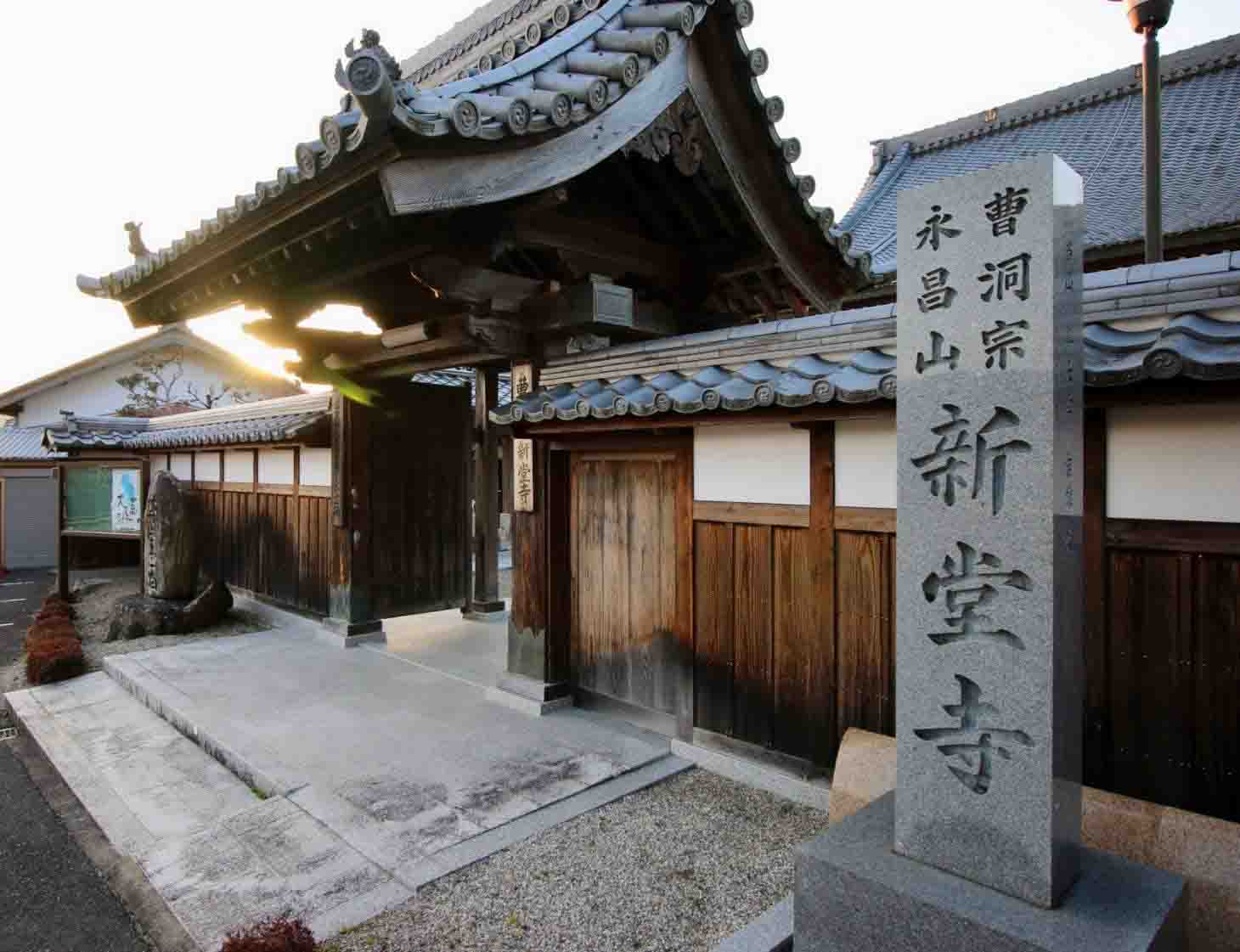 新堂寺木漏れ日