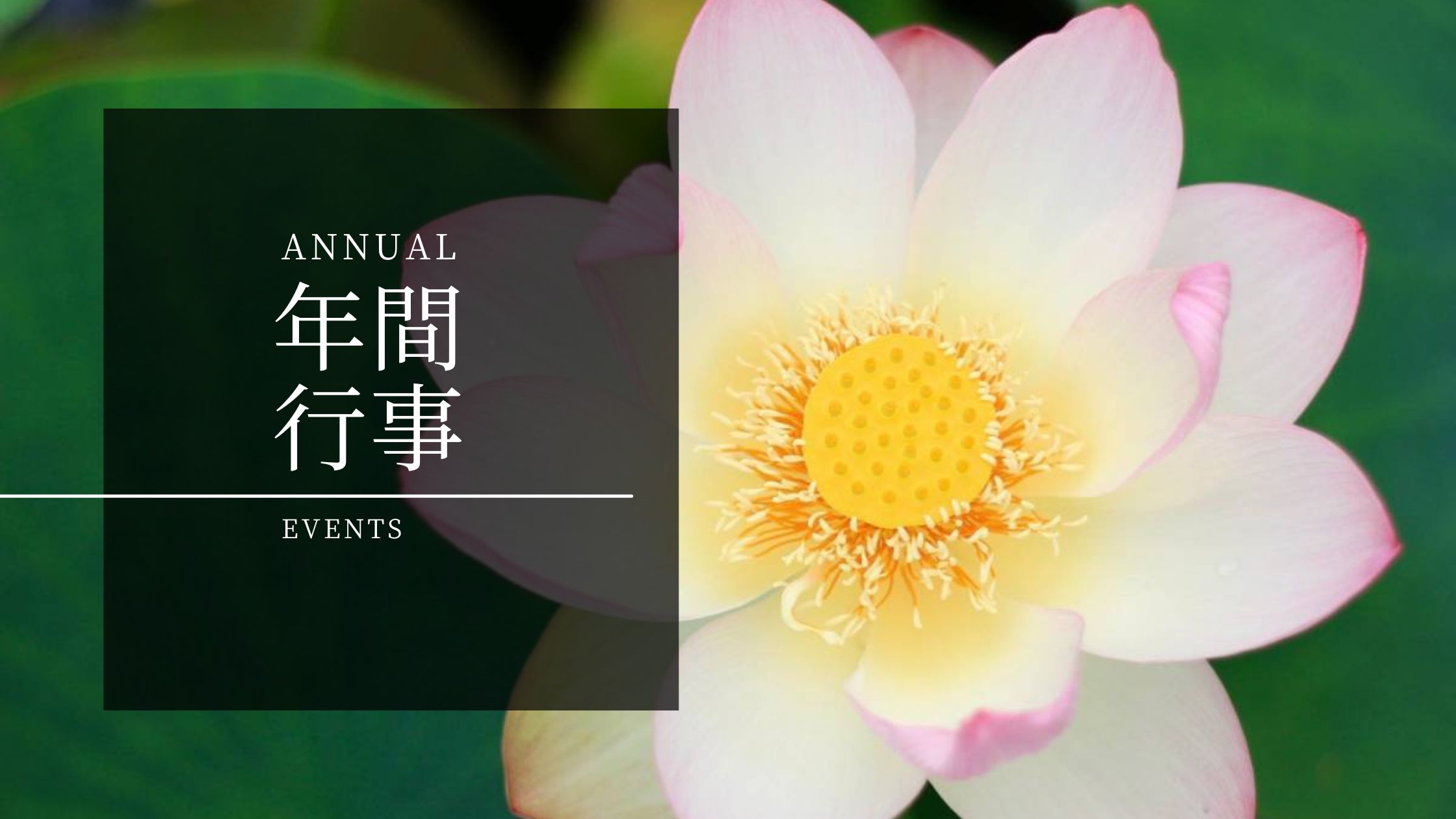 新堂寺_年間行事