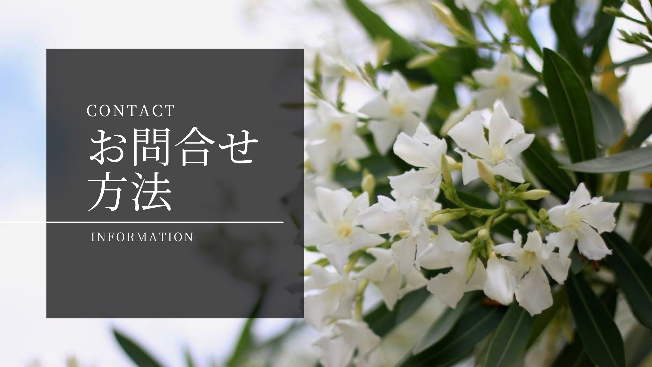 お問い合わせ方法